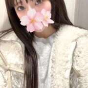 ヒメ日記 2025/12/15 19:12 投稿 さくら アラモード