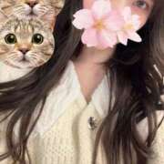 ヒメ日記 2025/12/18 15:20 投稿 さくら アラモード