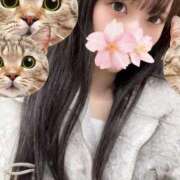 ヒメ日記 2025/12/23 14:19 投稿 さくら アラモード