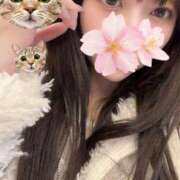 ヒメ日記 2025/12/28 16:41 投稿 さくら アラモード