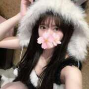 ヒメ日記 2025/12/29 15:13 投稿 さくら アラモード