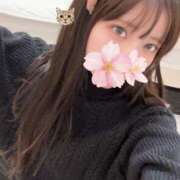 ヒメ日記 2026/01/01 20:19 投稿 さくら アラモード