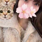 ヒメ日記 2026/01/03 11:30 投稿 さくら アラモード