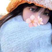 ヒメ日記 2026/01/05 17:36 投稿 さくら アラモード