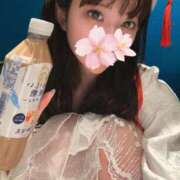 ヒメ日記 2026/01/08 00:30 投稿 さくら アラモード