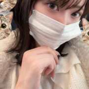 ヒメ日記 2026/01/10 13:00 投稿 さくら アラモード