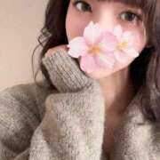 ヒメ日記 2026/01/15 15:08 投稿 さくら アラモード