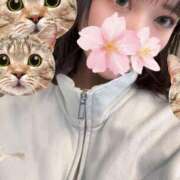 ヒメ日記 2026/01/21 13:23 投稿 さくら アラモード