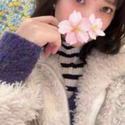 ヒメ日記 2026/01/23 17:25 投稿 さくら アラモード