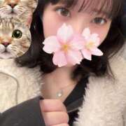 ヒメ日記 2026/01/25 17:46 投稿 さくら アラモード