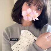 ヒメ日記 2026/01/31 12:09 投稿 さくら アラモード