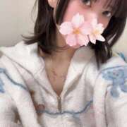 ヒメ日記 2026/02/05 17:29 投稿 さくら アラモード