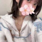 ヒメ日記 2026/02/06 09:00 投稿 さくら アラモード