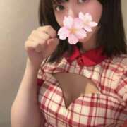 ヒメ日記 2026/02/10 01:35 投稿 さくら アラモード