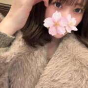 ヒメ日記 2026/02/11 13:55 投稿 さくら アラモード