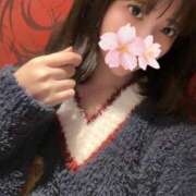 ヒメ日記 2026/02/12 01:42 投稿 さくら アラモード