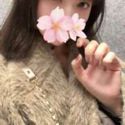 ヒメ日記 2026/02/12 15:31 投稿 さくら アラモード