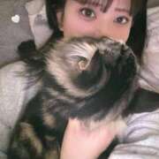 ヒメ日記 2026/02/14 18:55 投稿 さくら アラモード