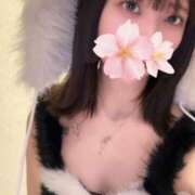 ヒメ日記 2026/02/23 13:23 投稿 さくら アラモード