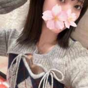 ヒメ日記 2026/02/24 15:35 投稿 さくら アラモード