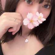 ヒメ日記 2026/02/26 15:32 投稿 さくら アラモード