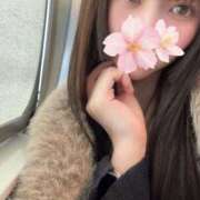 ヒメ日記 2026/03/05 19:03 投稿 さくら アラモード