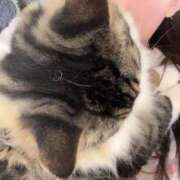 ヒメ日記 2026/03/09 14:53 投稿 さくら アラモード