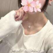 ヒメ日記 2026/03/12 14:24 投稿 さくら アラモード