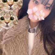 ヒメ日記 2026/03/19 15:31 投稿 さくら アラモード