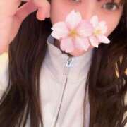 ヒメ日記 2026/03/22 19:39 投稿 さくら アラモード