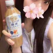 さくら 一旦離脱(o0.0o) アラモード