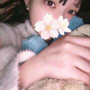 ヒメ日記 2026/04/24 14:05 投稿 さくら アラモード