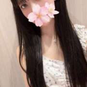 さくら この後20:00-24:00出勤です(o0.0o) アラモード