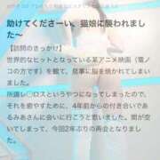 ヒメ日記 2025/12/06 12:03 投稿 みあ シャングリラ