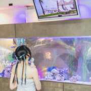 ヒメ日記 2026/01/19 09:00 投稿 みあ シャングリラ