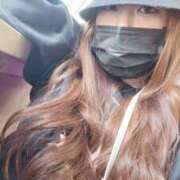 ヒメ日記 2025/04/19 09:45 投稿 うた コレクション