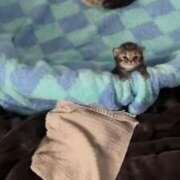 ヒメ日記 2025/07/06 10:08 投稿 さりな 白いぽっちゃりさん仙台店