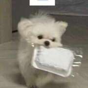 ヒメ日記 2025/07/26 13:00 投稿 さりな 白いぽっちゃりさん仙台店