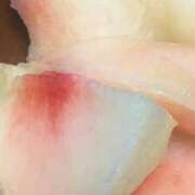 ヒメ日記 2025/09/02 15:18 投稿 さりな 白いぽっちゃりさん仙台店