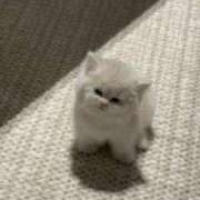 さりな 🚃 白いぽっちゃりさん仙台店