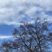 ヒメ日記 2025/03/20 18:57 投稿 荒井　雫 八王子だョ！変態集合