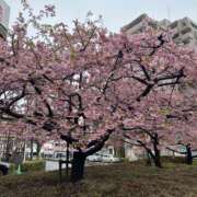 ヒメ日記 2025/03/22 11:57 投稿 荒井　雫 八王子だョ！変態集合