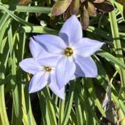 ヒメ日記 2025/04/03 23:23 投稿 荒井　雫 八王子だョ！変態集合