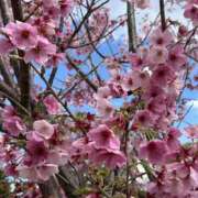 ヒメ日記 2025/04/04 18:19 投稿 荒井　雫 八王子だョ！変態集合