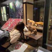 ヒメ日記 2025/04/05 20:31 投稿 荒井　雫 八王子だョ！変態集合