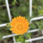 ヒメ日記 2025/04/12 16:47 投稿 荒井　雫 八王子だョ！変態集合