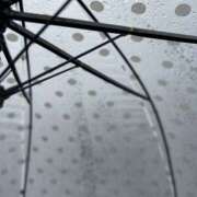 ヒメ日記 2025/04/13 09:00 投稿 荒井　雫 八王子だョ！変態集合