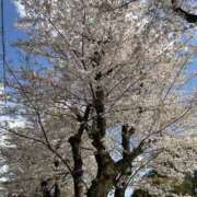 ヒメ日記 2025/04/13 09:36 投稿 荒井　雫 八王子だョ！変態集合