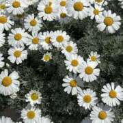 ヒメ日記 2025/04/13 22:58 投稿 荒井　雫 八王子だョ！変態集合