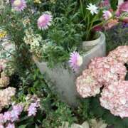 ヒメ日記 2025/04/18 17:17 投稿 荒井　雫 八王子だョ！変態集合